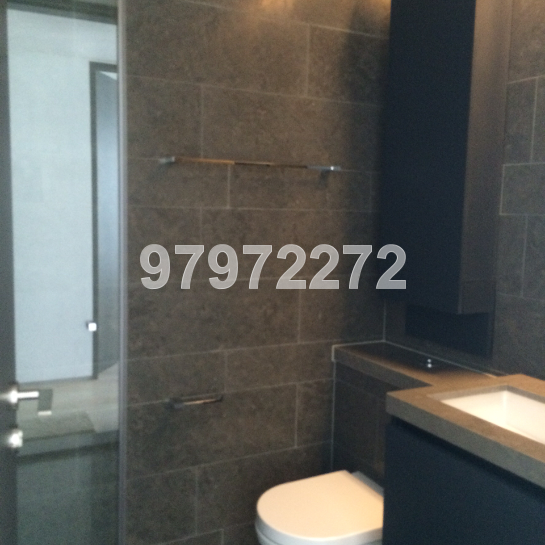 Skysuites@Anson (D2), Condominium #38249572